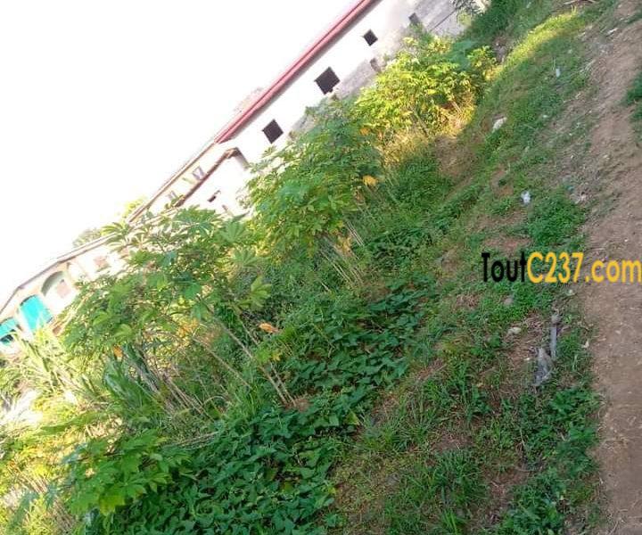 Terrain à vendre a Pk10 Douala