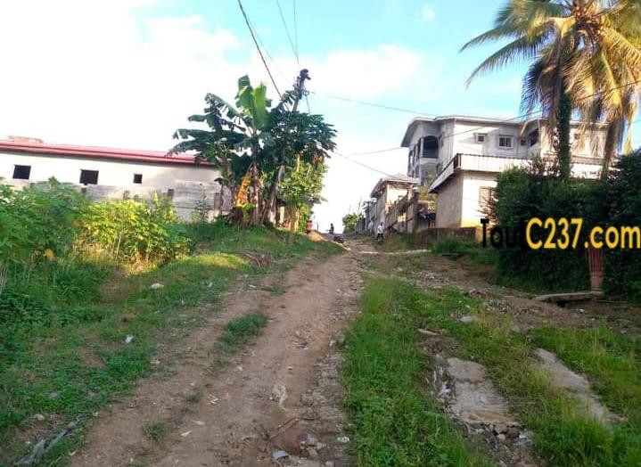 Terrain à vendre a Pk10 Douala