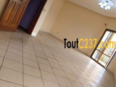 Appartement à louer a Bonamoussadi Douala