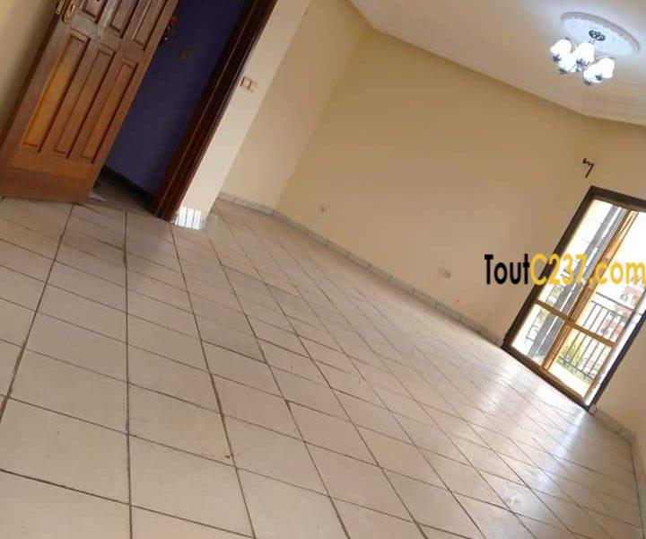 Appartement à louer a Bonamoussadi Douala
