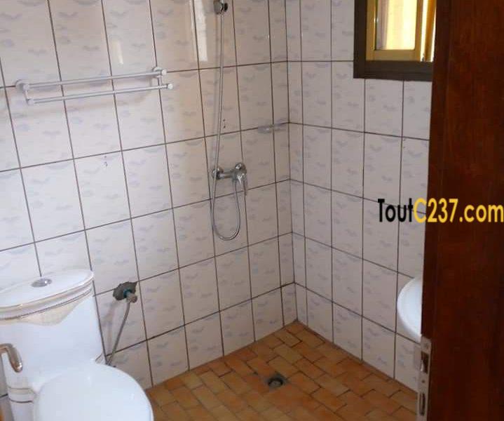Appartement à louer a Bonamoussadi Douala