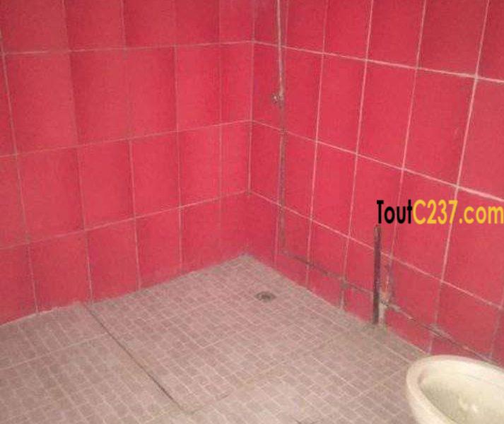 Maison en villa a vendre à Bonamoussadi