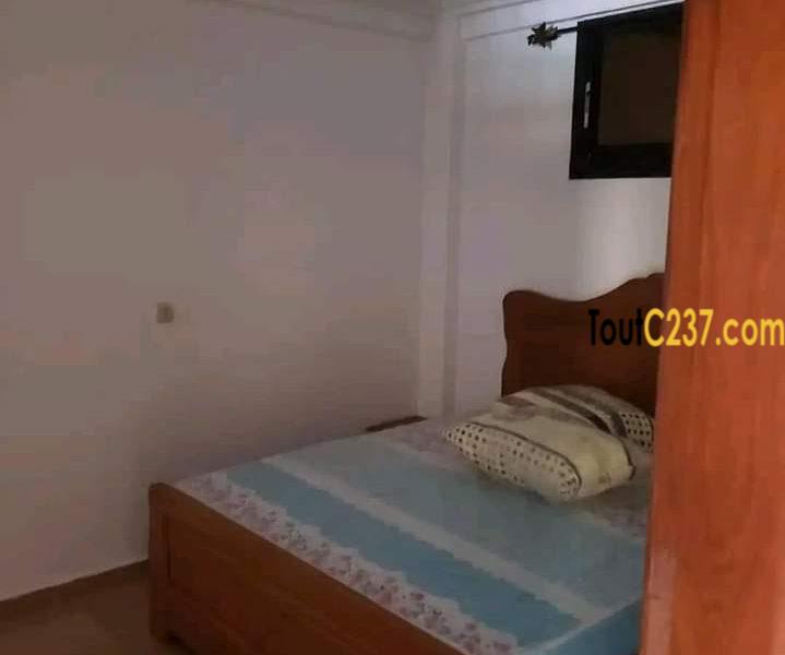 Studio moderne à louer à Bali, Douala