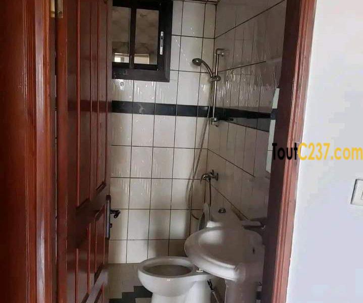 Studio moderne à louer à Bali, Douala