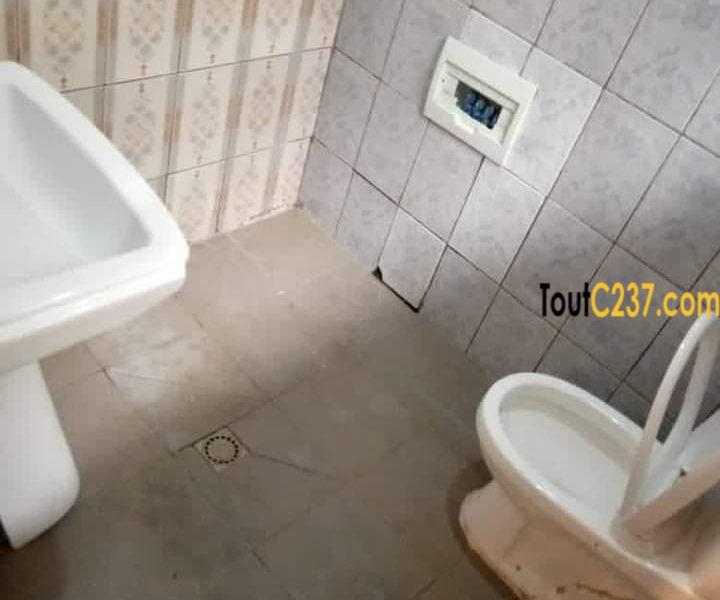 Maison en villa a louer à Makepe