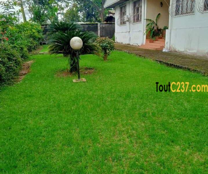 Maison en villa a louer à Bonaberi