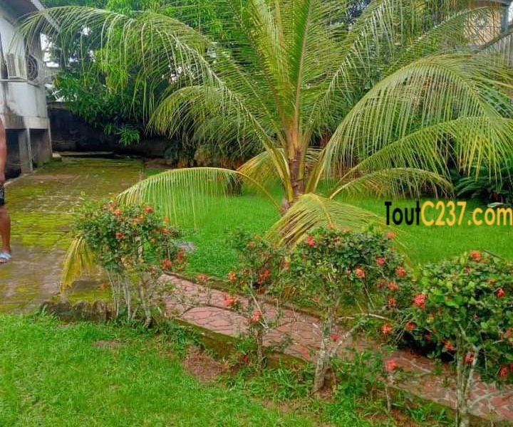 Maison en villa a louer à Bonaberi