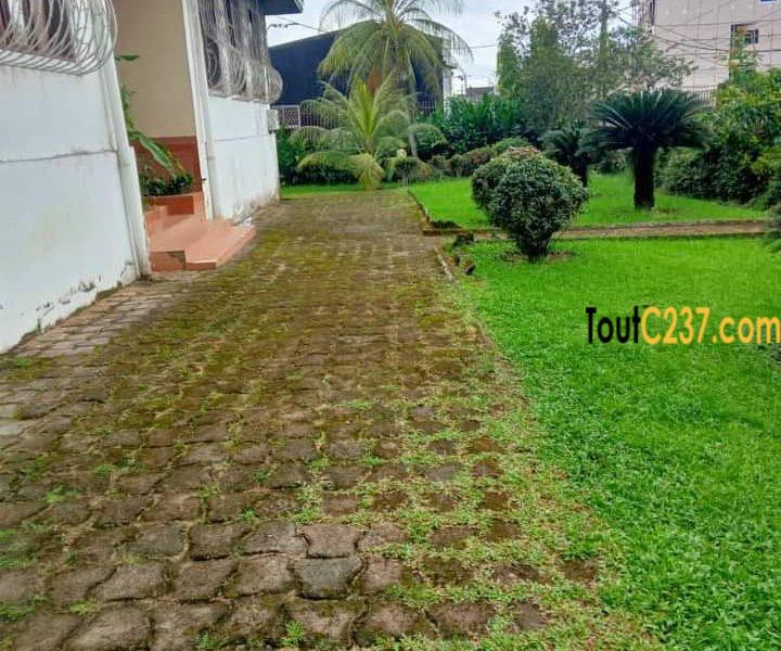 Maison en villa a louer à Bonaberi