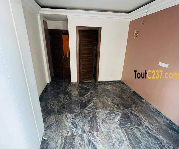 Appartement neuf à louer à Bonapriso