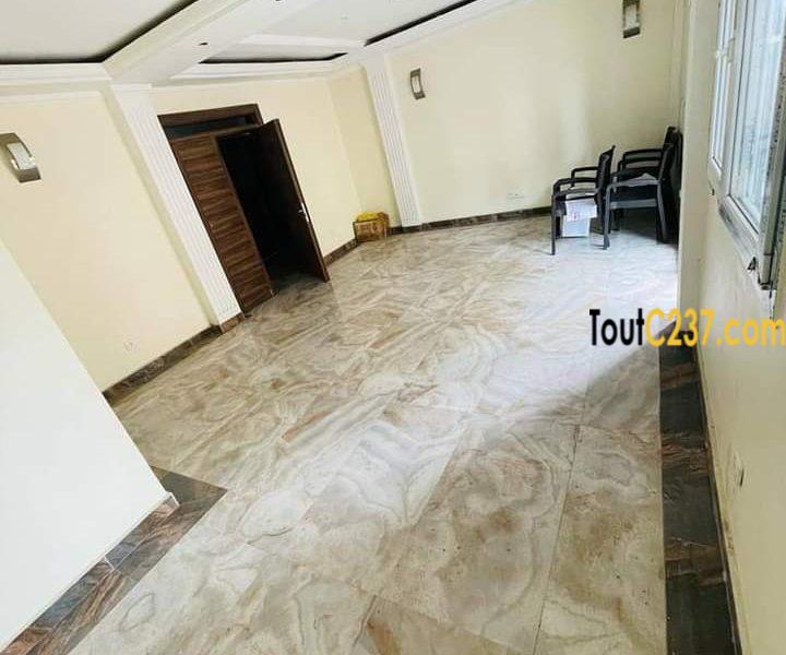 Appartement neuf à louer à Bonapriso