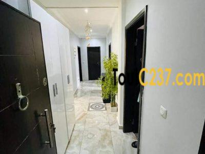 Appartement neuf à louer à Bonapriso