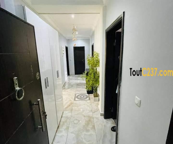 Appartement neuf à louer à Bonapriso