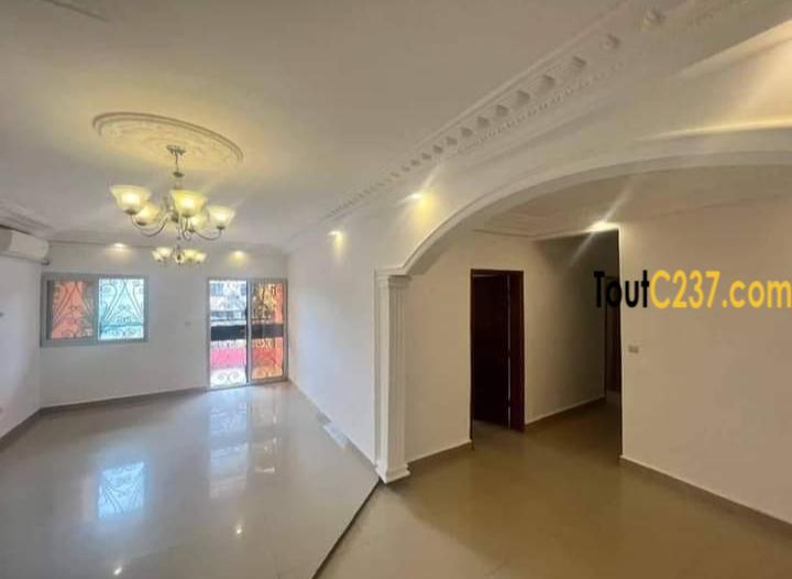 Appartement à louer à