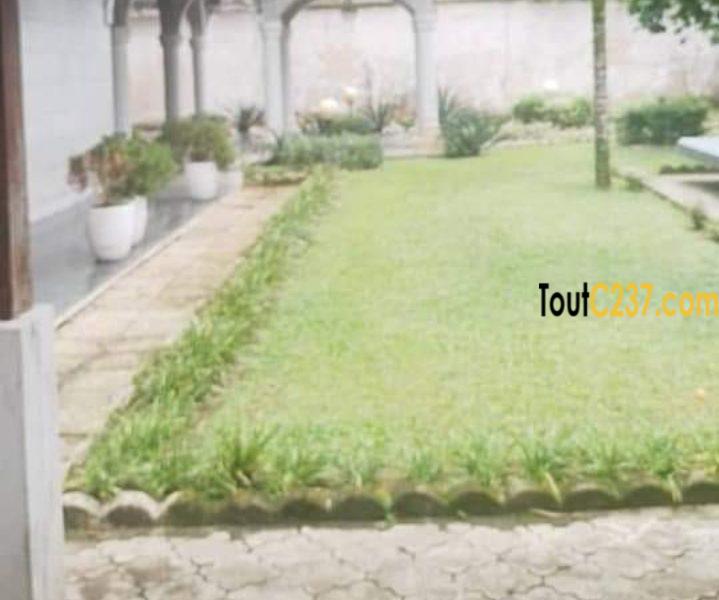 Grand duplex à louer à Bonapriso