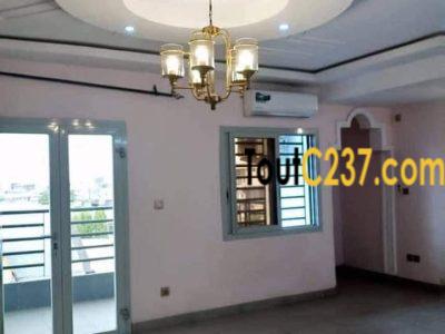 Appartement à louer à Bonapriso