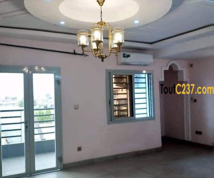 Appartement à louer à Bonapriso