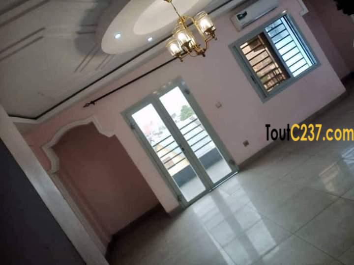 Appartement à louer à Bonapriso