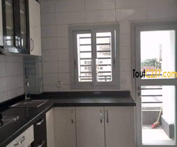 Appartement à louer à Bonapriso