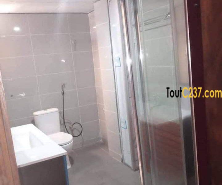 Appartement à louer à Bonapriso