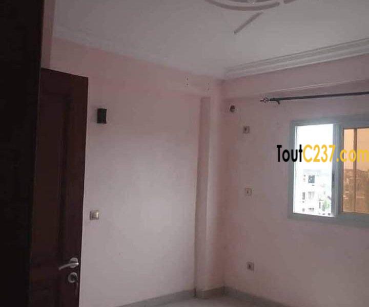 Appartement à louer à Bonapriso