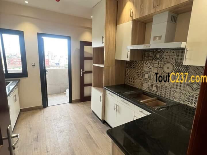 Appartement en duplex à louer à Bonapriso