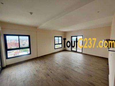 Appartement en duplex à louer à Bonapriso