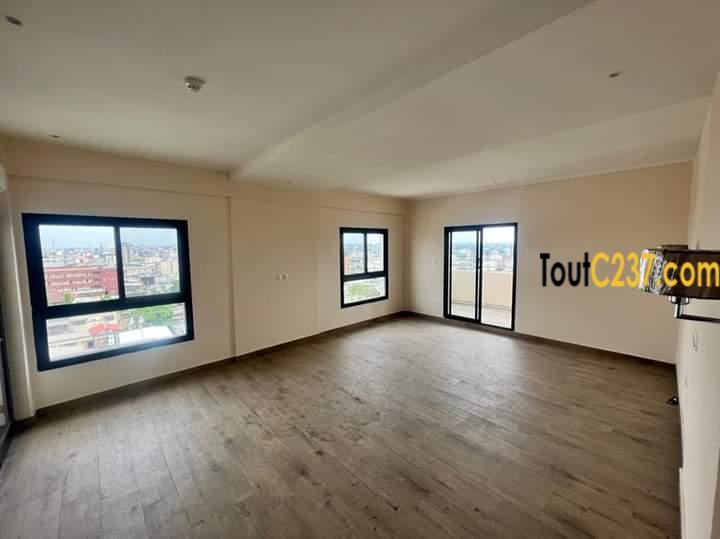 Appartement en duplex à louer à Bonapriso