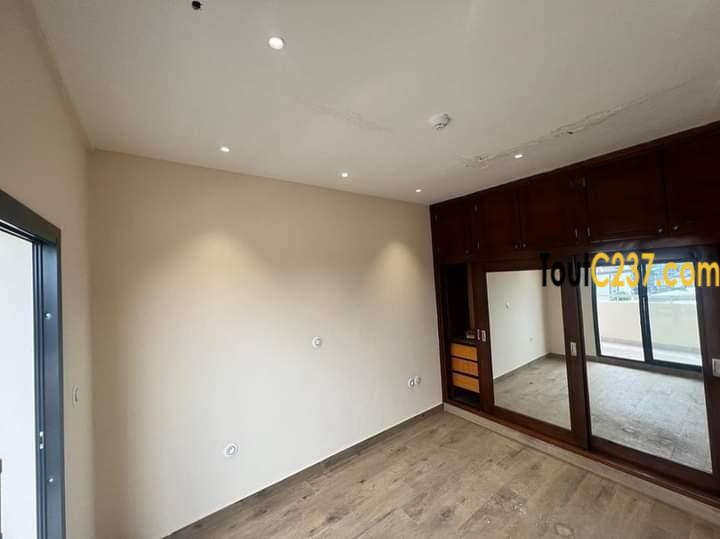 Appartement en duplex à louer à Bonapriso