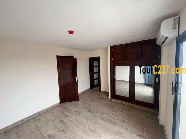 Appartement en duplex à louer à Bonapriso