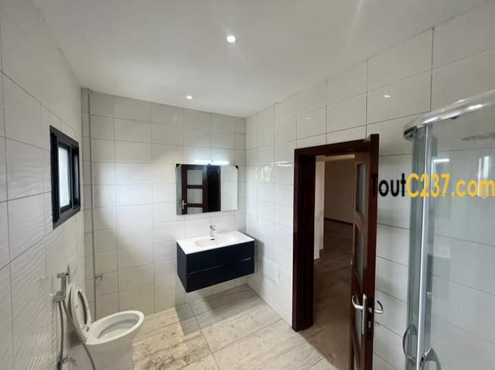 Appartement en duplex à louer à Bonapriso