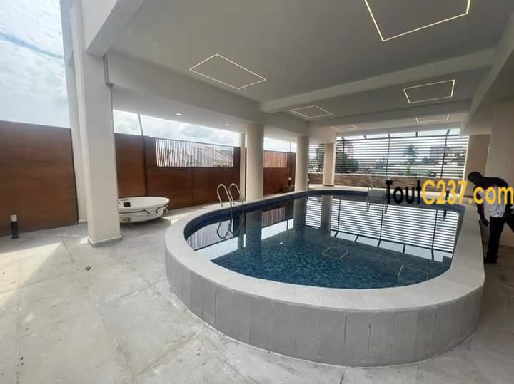 Appartement en duplex à louer à Bonapriso