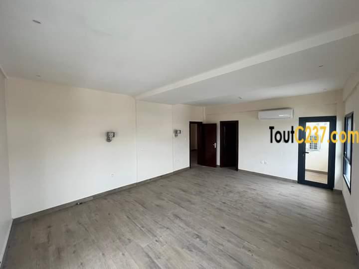 Appartement en duplex à louer à Bonapriso