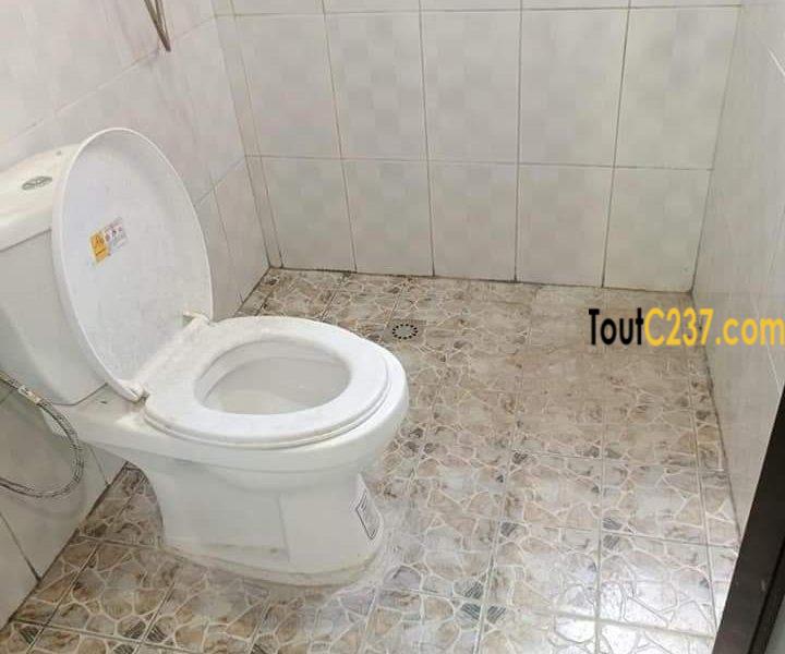 Studio Moderne à louer à Bonaoussadi