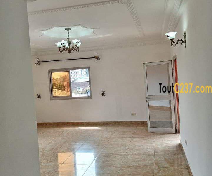 Appartement à louer à Logpom Douala
