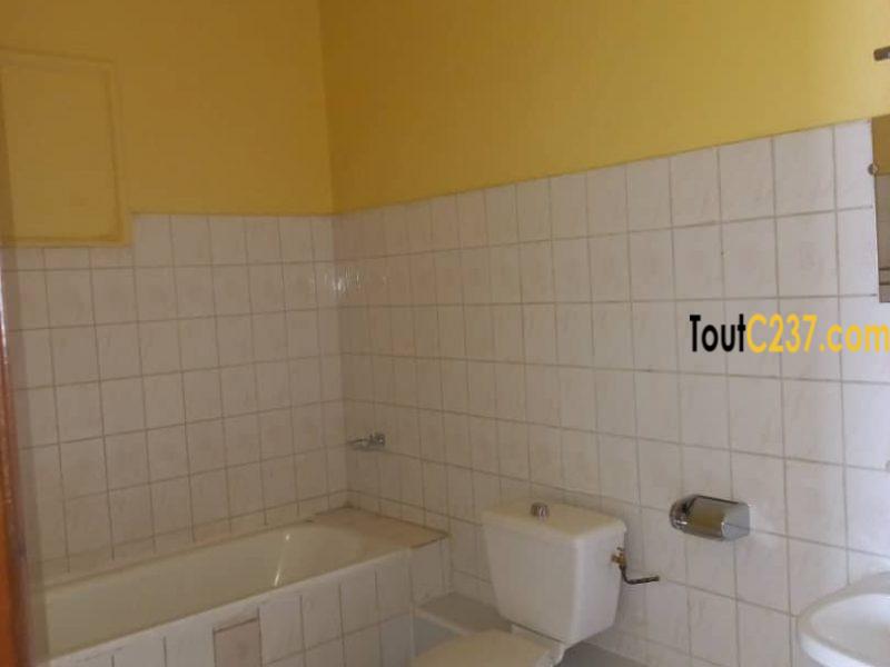 Appartement à louer à Bonapriso, Douala