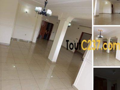 Appartement à louer à Bonamoussadi