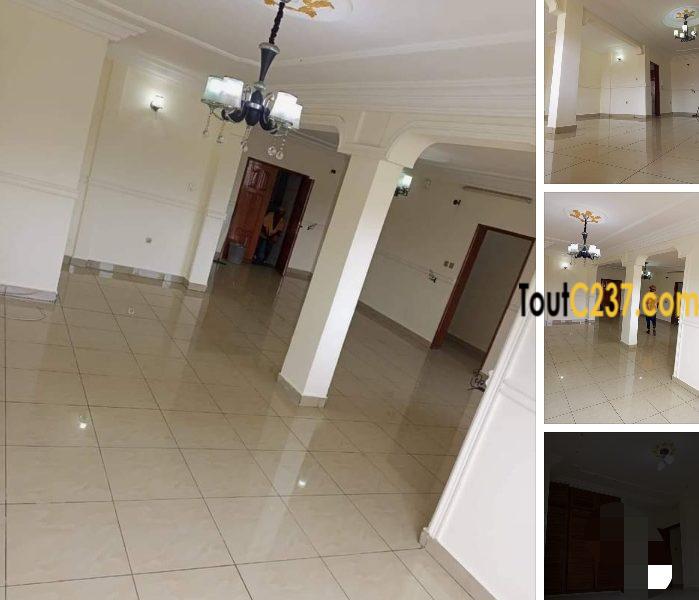 Appartement à louer à Bonamoussadi