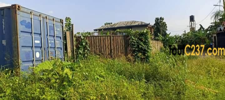 Terrain à vendre à Logbessou (Témoins))
