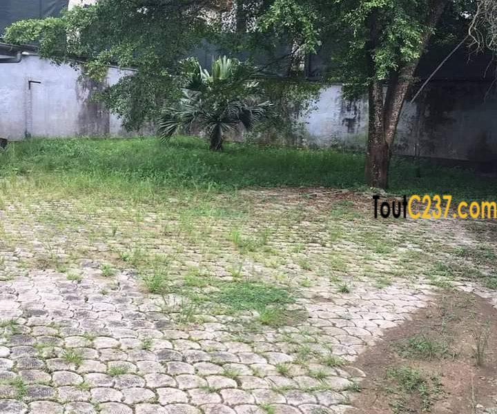 Maison en villa à louer à Bonapriso