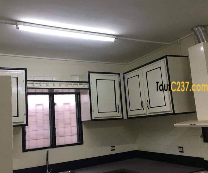 Maison en villa à louer à Bonapriso