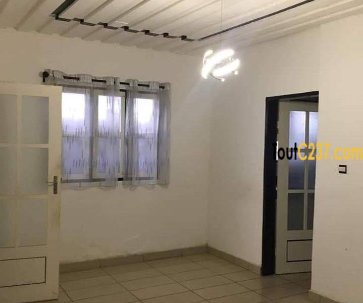 Maison en villa à louer à Bonapriso