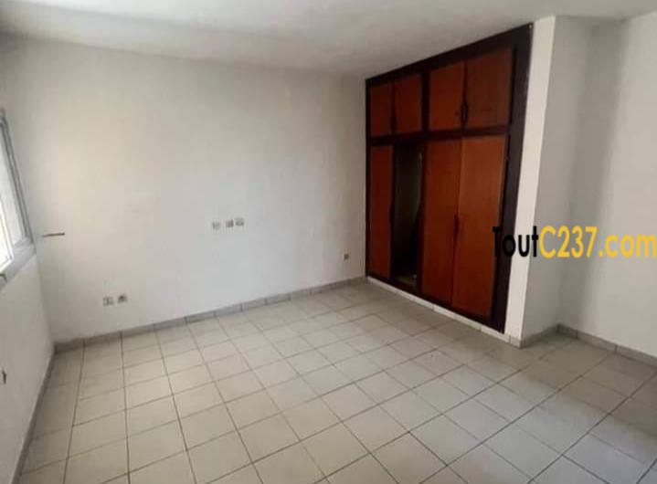 Studio moderne à louer a Bonapriso