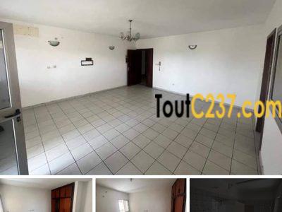 Studio moderne à louer a Bonapriso