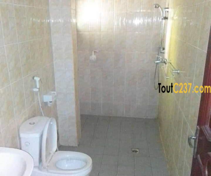 Studio moderne à louer à Bali, Douala
