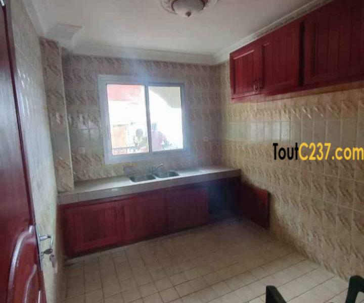 Appartement neuf à louer à Bonamoussadi