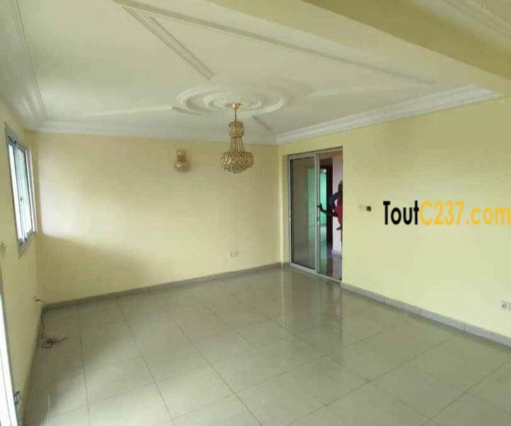 Appartement neuf à louer à Bonamoussadi