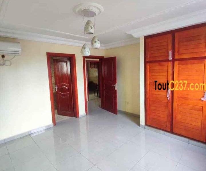 Appartement neuf à louer à Bonamoussadi