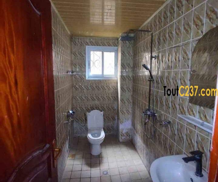 Appartement neuf à louer à Bonamoussadi