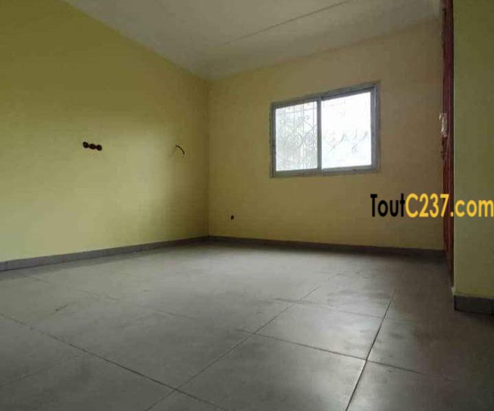 Appartement neuf à louer à Bonamoussadi