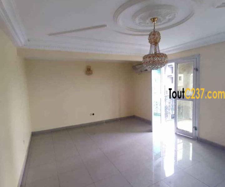 Appartement neuf à louer à Bonamoussadi